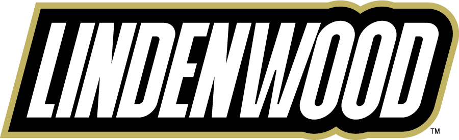 Lindenwood Lions 2010-2018 Wordmark Logo diy iron on heat transfer